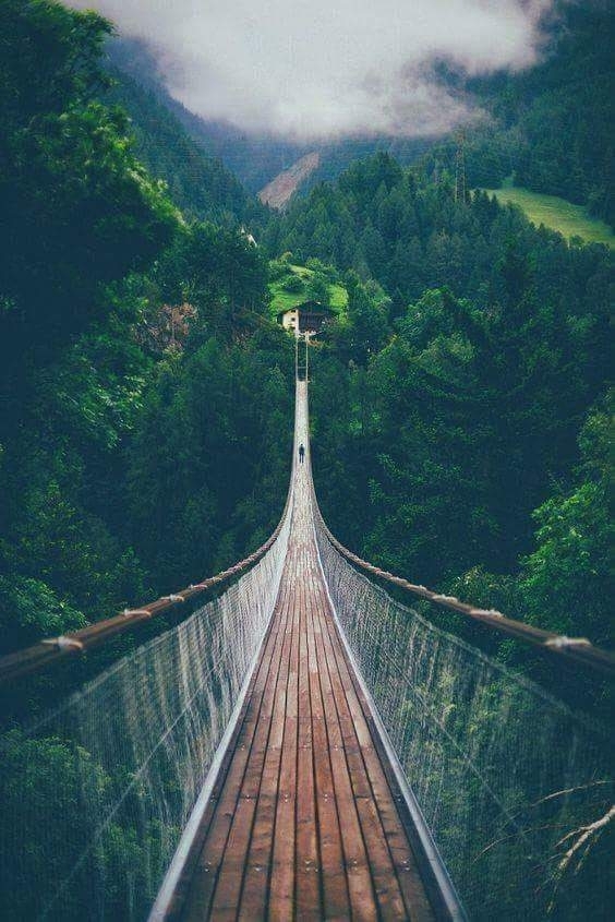 bridge