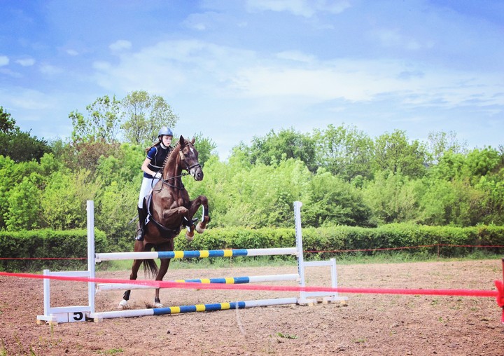 equestrian jumping competition