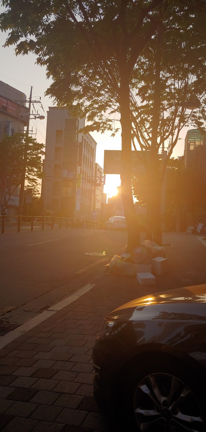 sunset