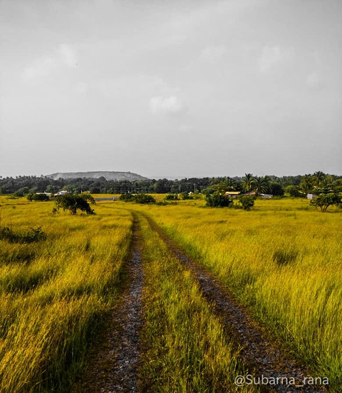 road