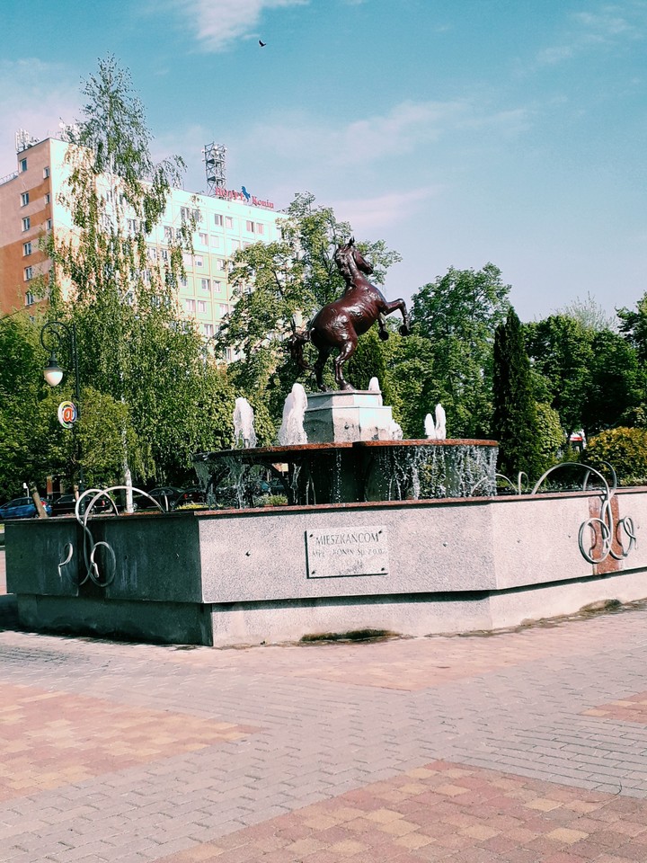 Конин