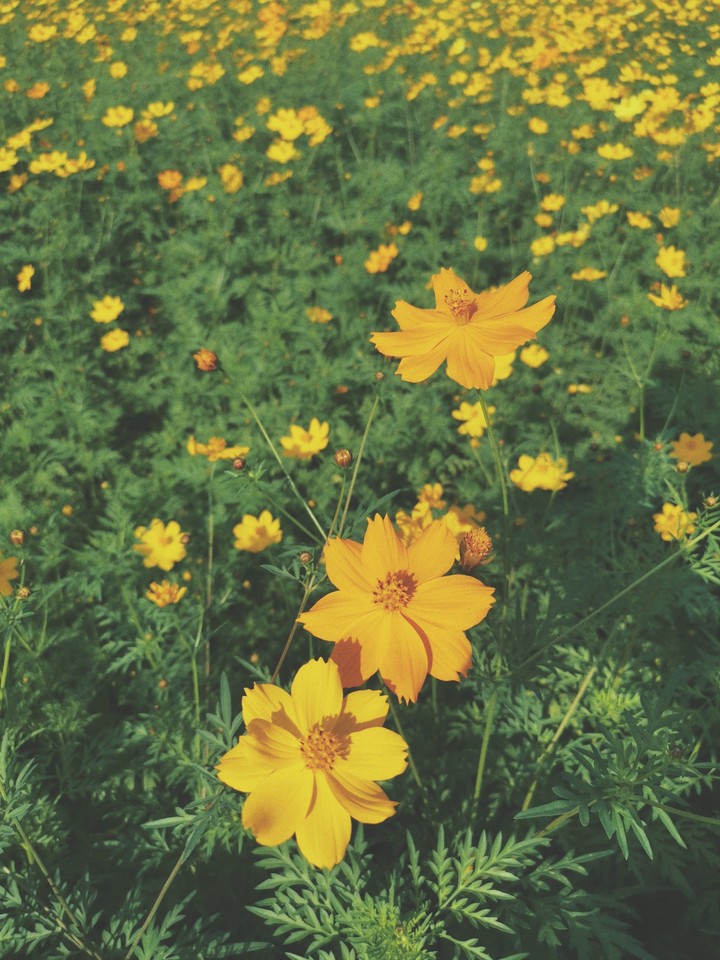 Tiny things