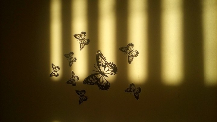 my room
