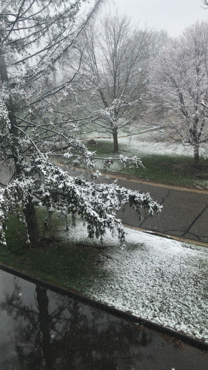 Always Snow