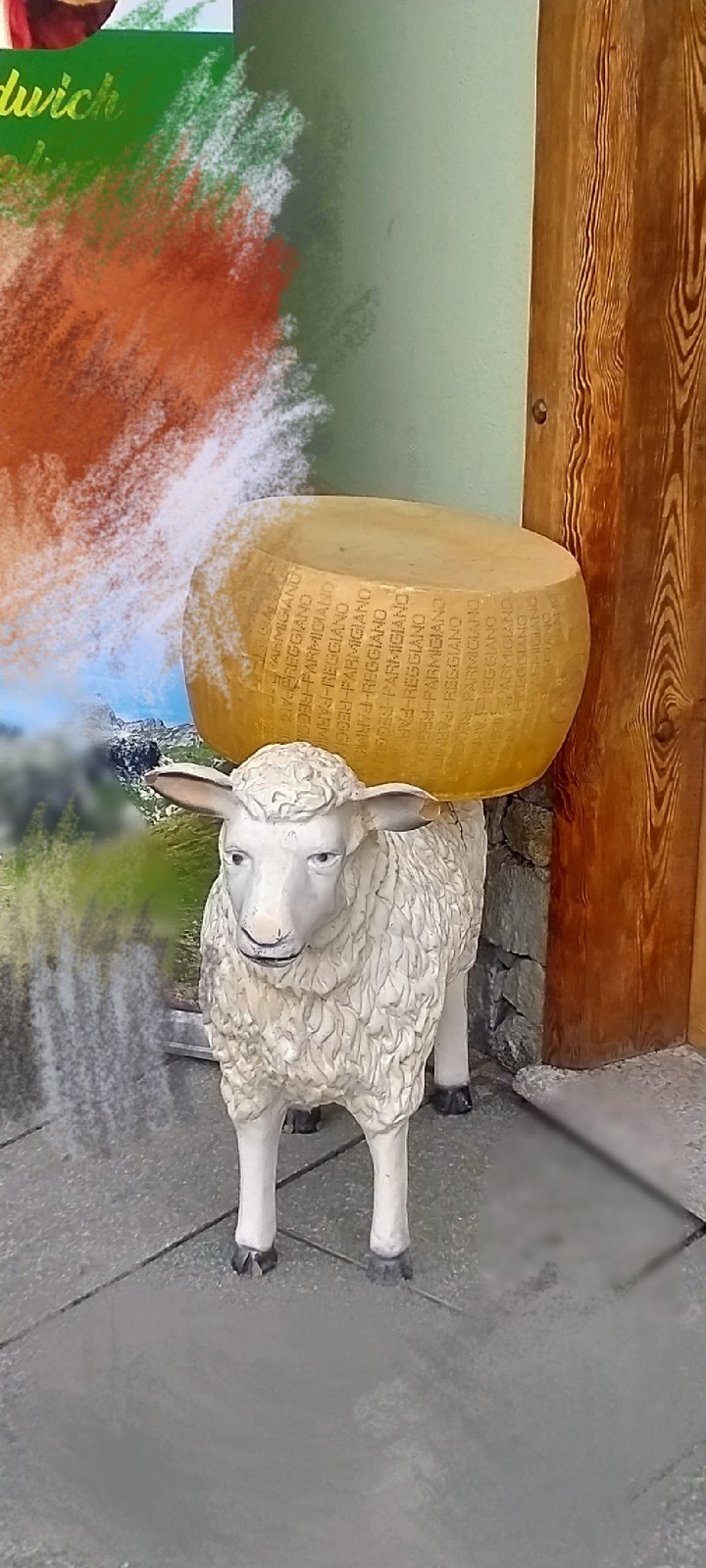 Mountain cheese
