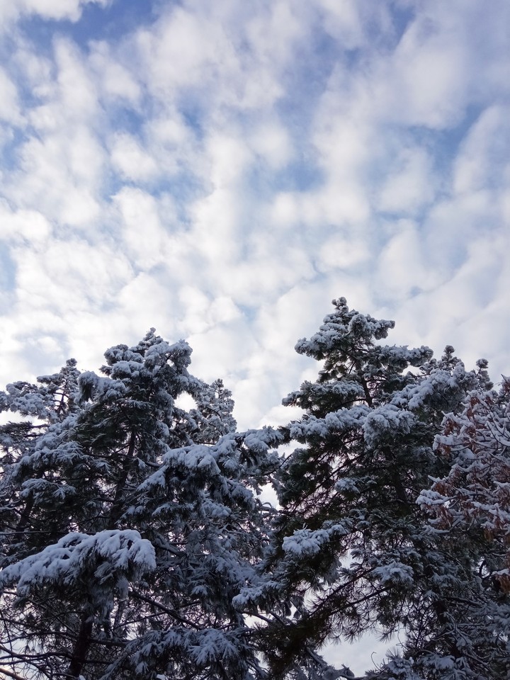 snow sky
