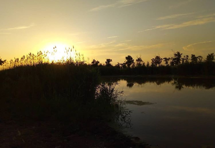 sunnset