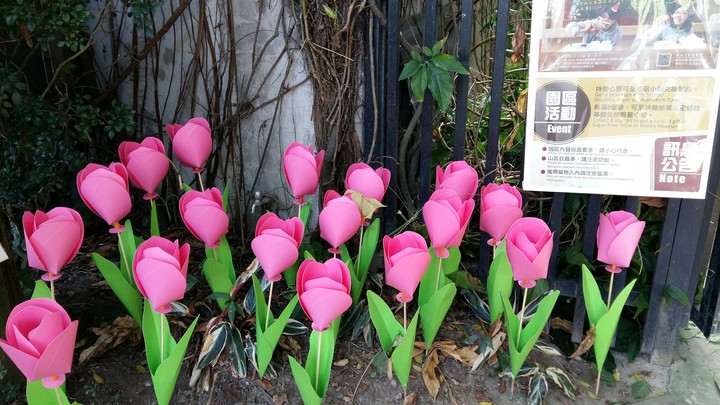 Paper Roses