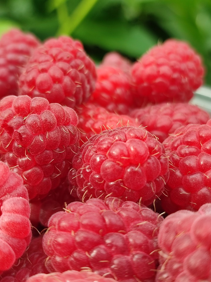 raspberries