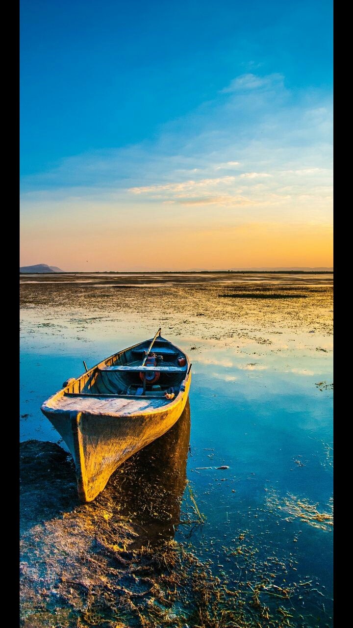 boat