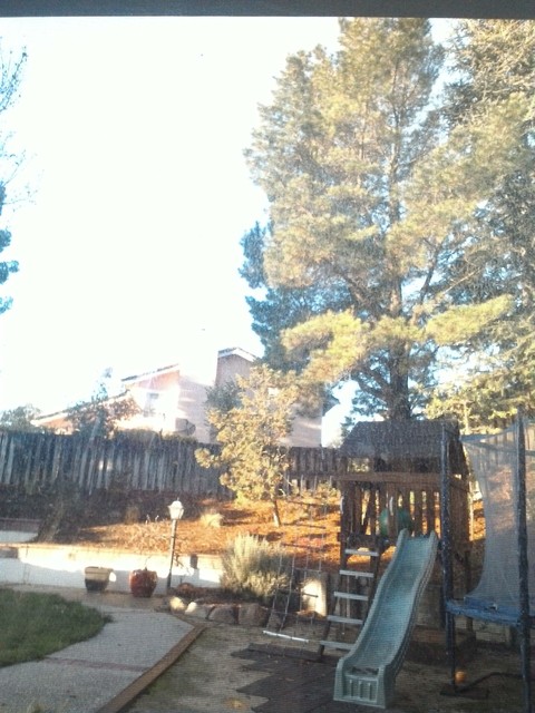 Nice Backyard