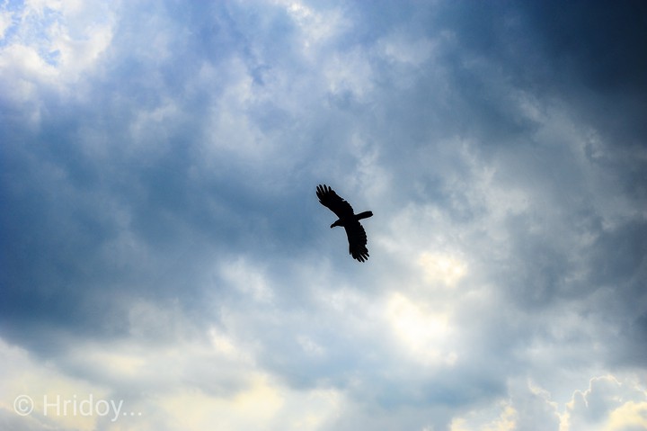 Somewhere up there...