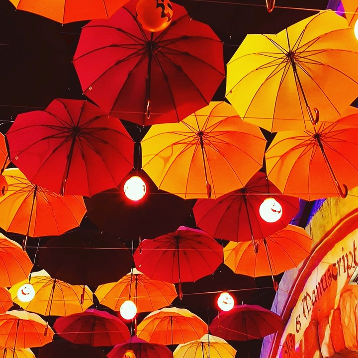 an umbrella#city#