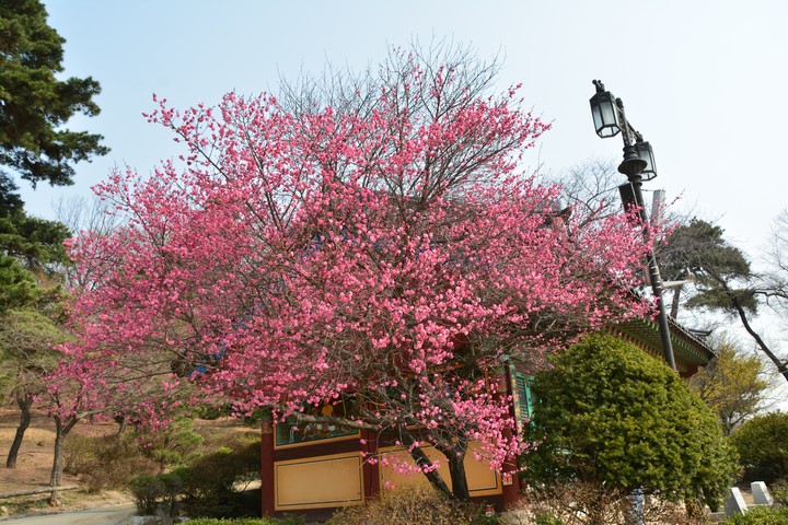 풍경이미지