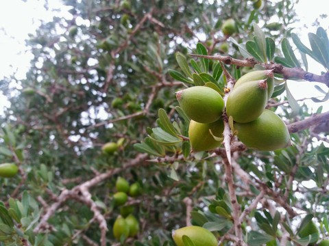 nature