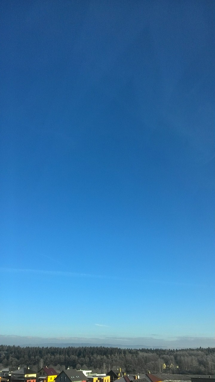 Fly away