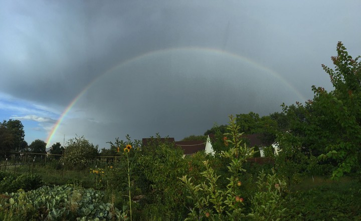 rainbow