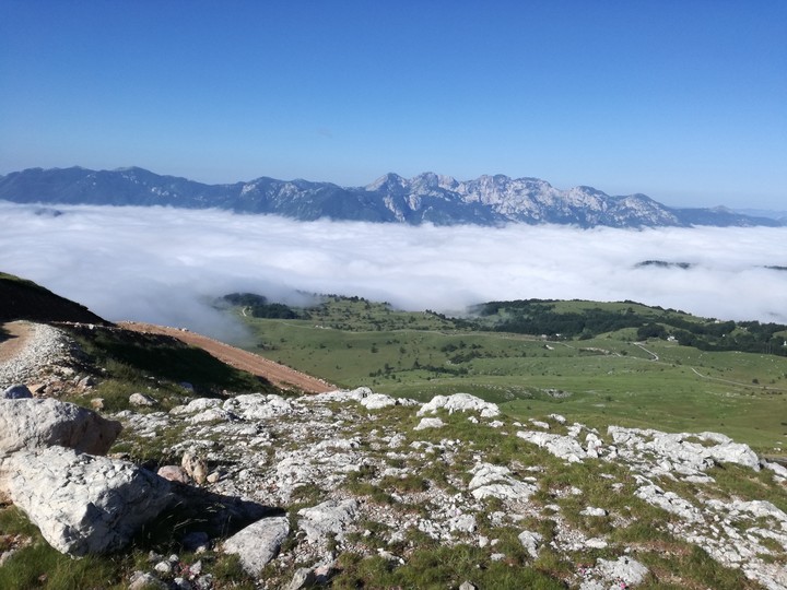 fog