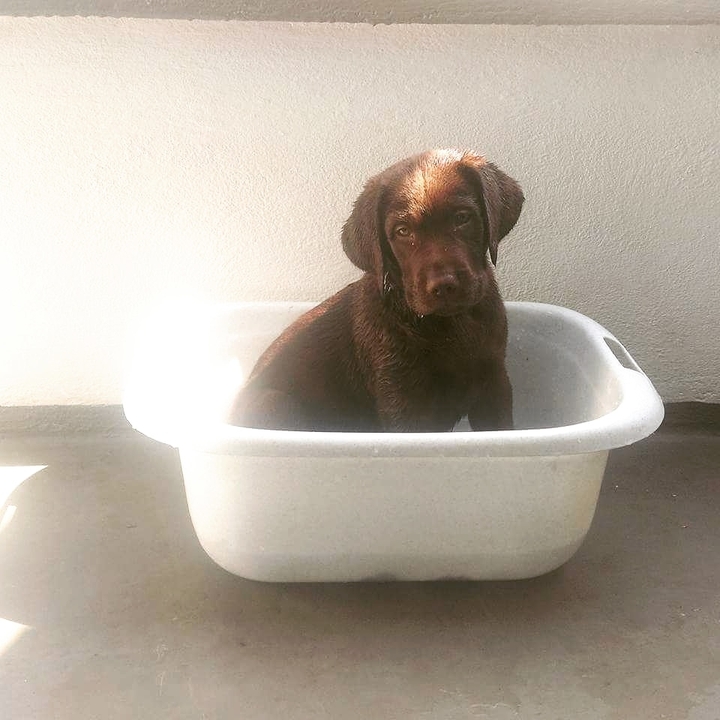 Mia