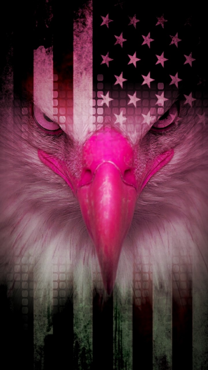 Eagle American Flag