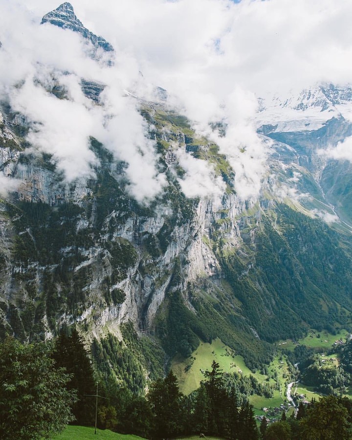 Nature Photography