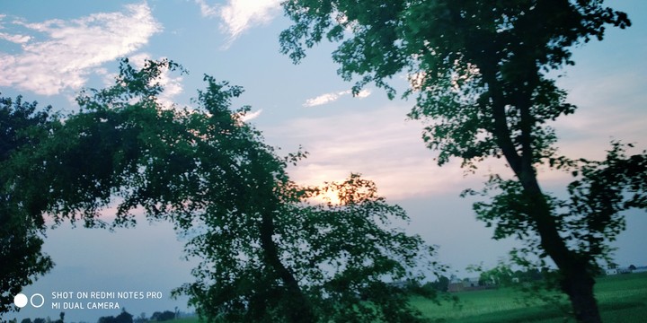 real natur