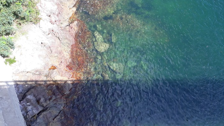 water