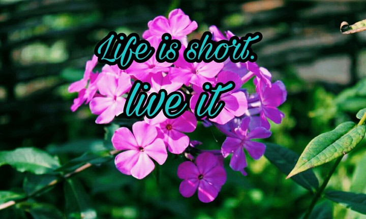 Life