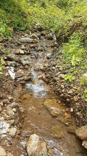 Beautiful Water Flow
