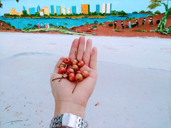 Trứng cá...