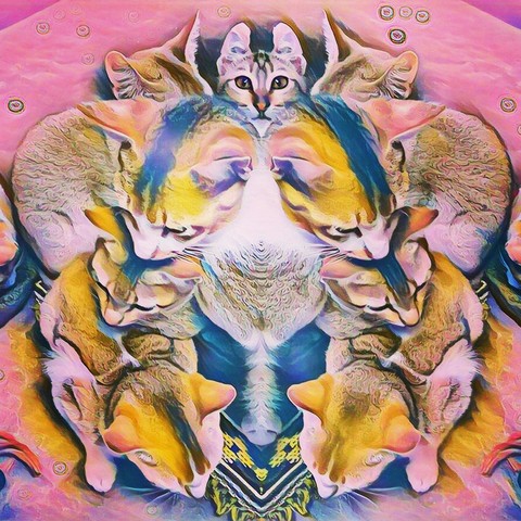 My edit