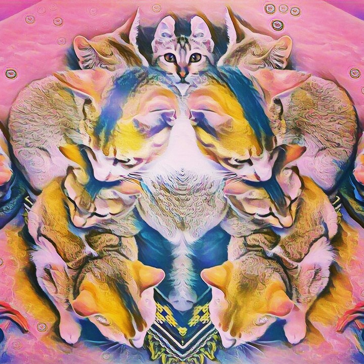 My edit