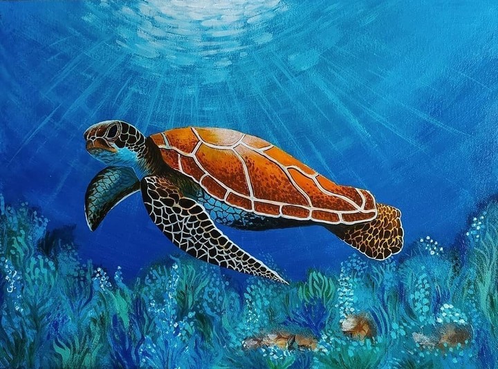 #underwater