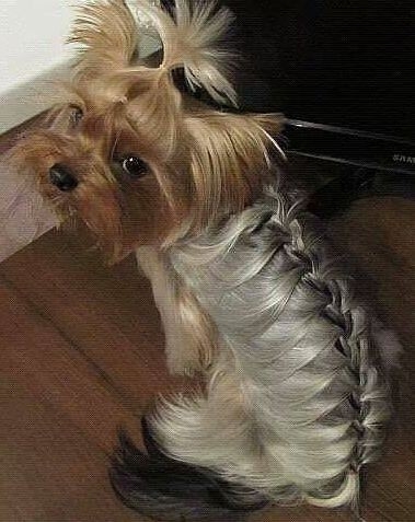 it luks so cutee....