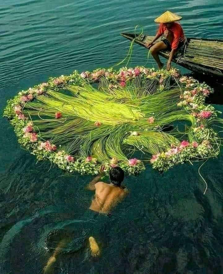 My bangladesh