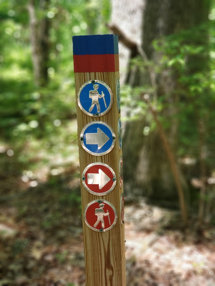 hiking sign in the woods