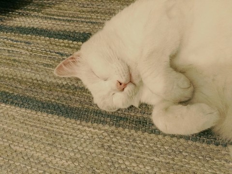 Sleeping
