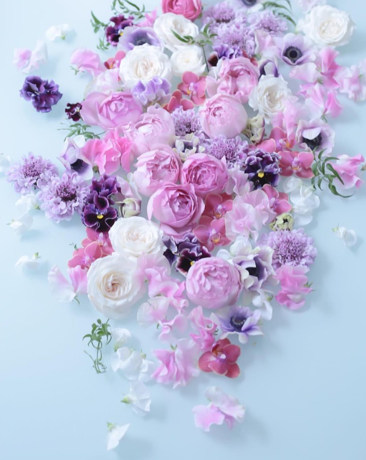 blossom