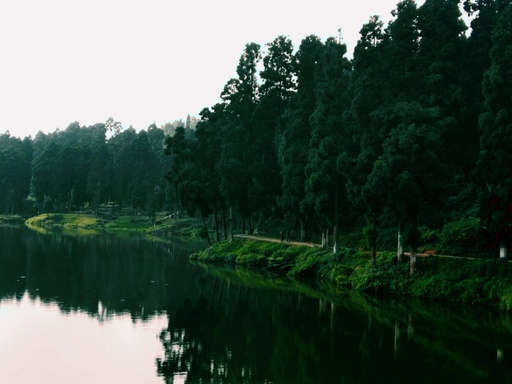 Elegance of nature