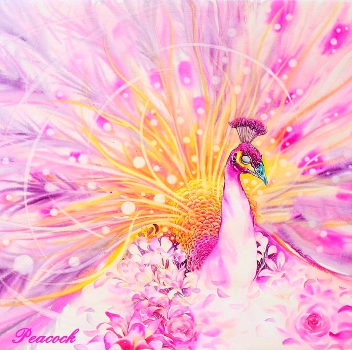 peacock