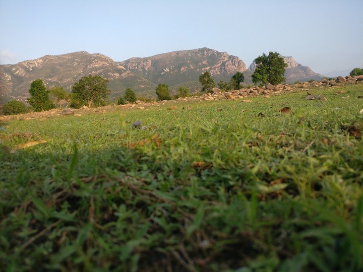 mountains