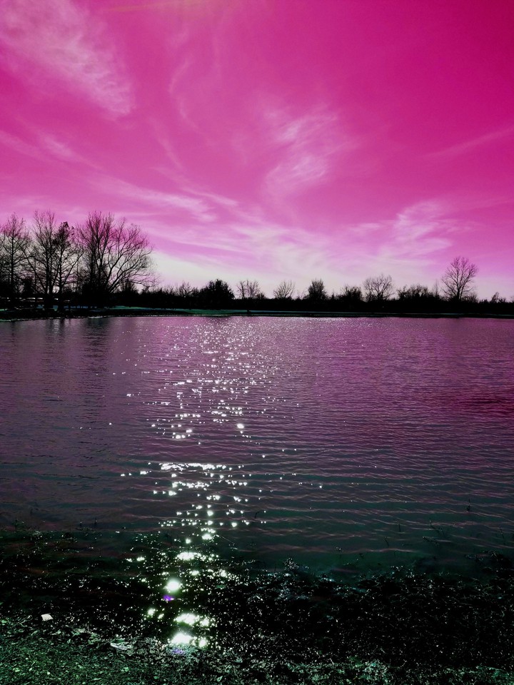 Pink