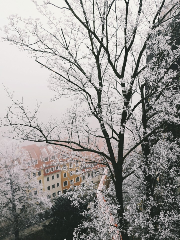 ❄️