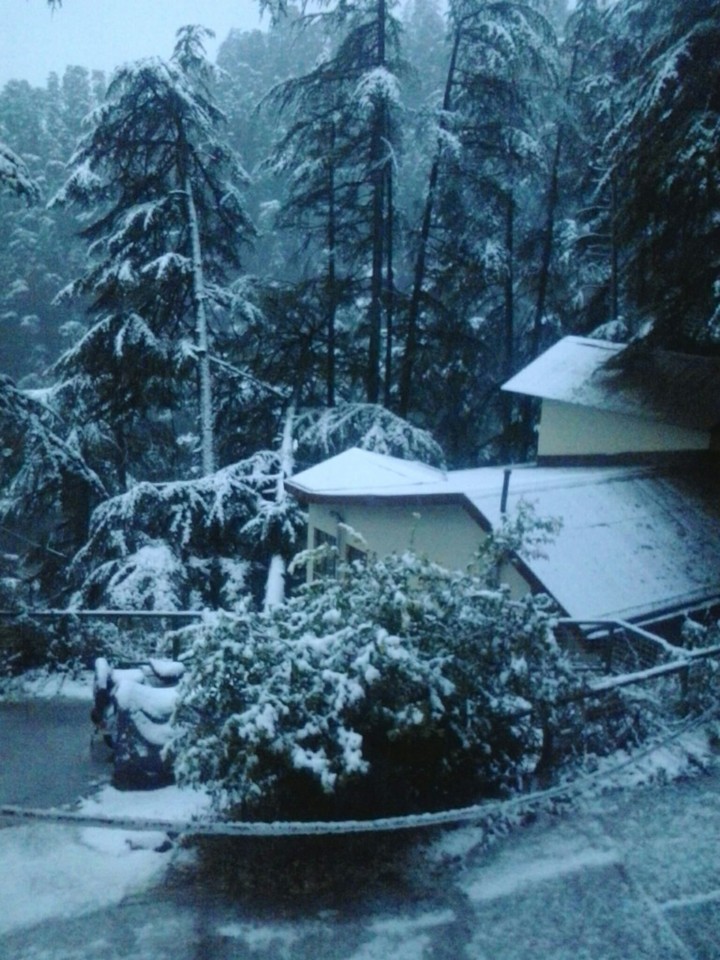 snow