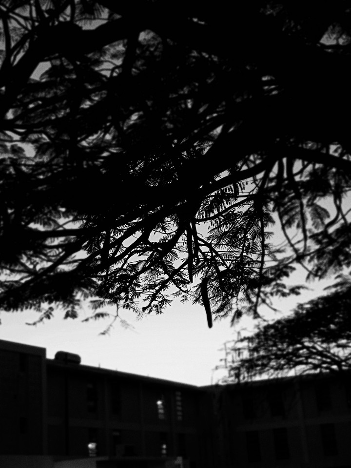 The way through