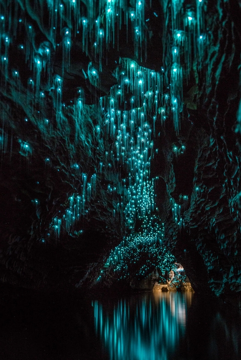 Caverna na Nova Zelandia.