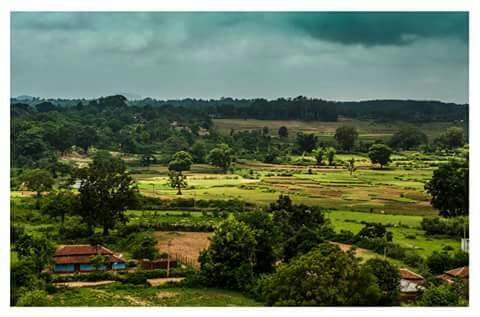great nature