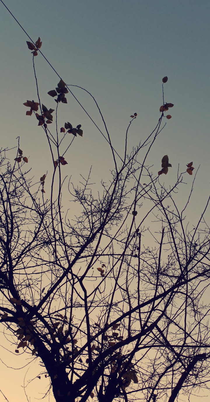 autumn