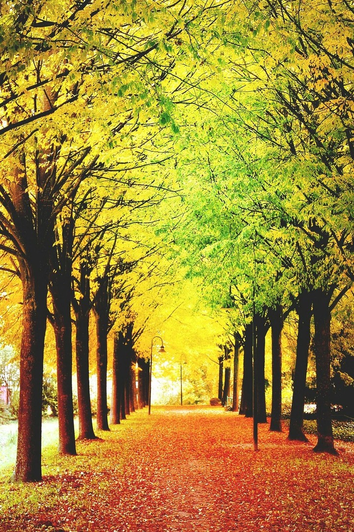 Autumn