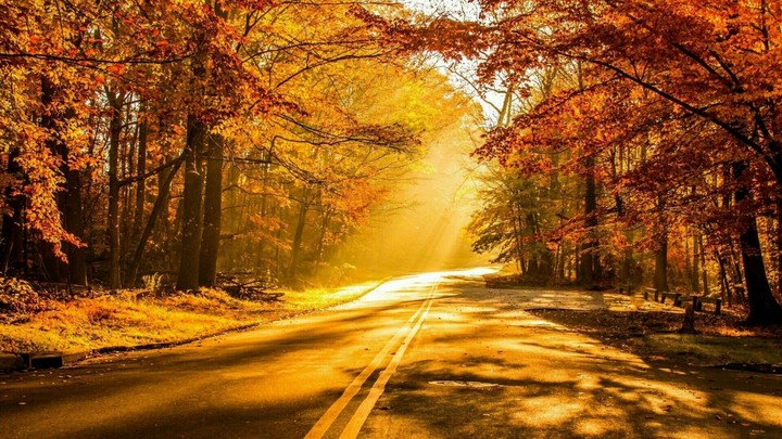 Sun Light